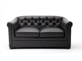 Divano a due posti-Pelle-168x91x85 cm-Nero-Stile Chesterfield classico